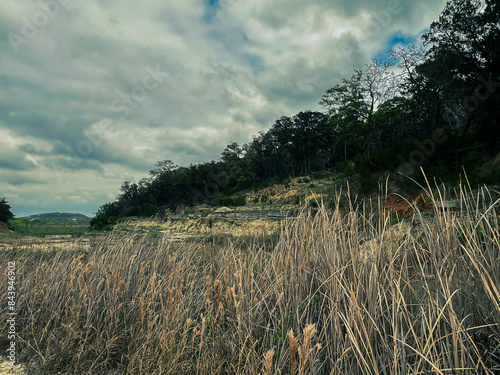grass and sky