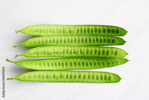 Leucaena leucocepphala on white background.