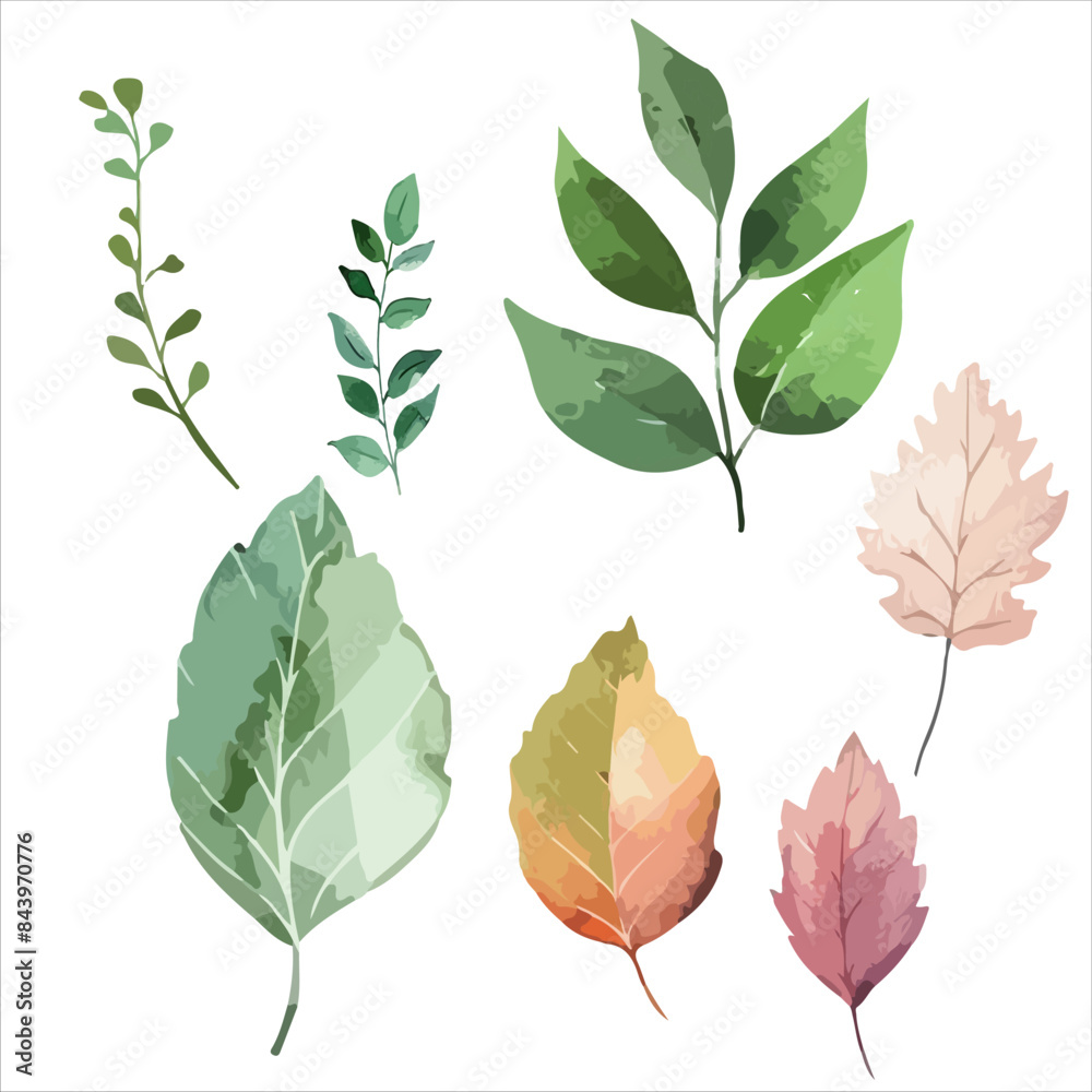 Obraz premium a set of four different colored leaves