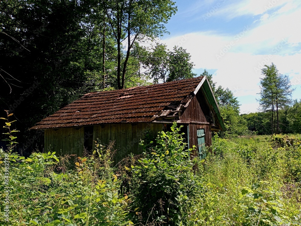 A cozy wooden house in the forest destroyed by time. The forester's forest house is abandoned and with signs of destruction. Dwelling in the forest on the background of green trees. A cozy wooden house in the forest destroyed by time. The forester's forest house is abandoned and with signs of destruction. Dwelling in the forest on the background of green trees.
