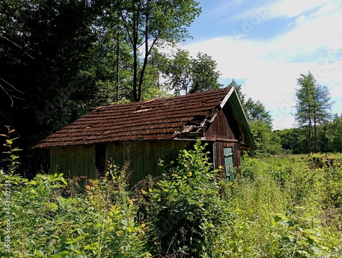 A cozy wooden house in the forest destroyed by time. The forester's forest house is abandoned and with signs of destruction. Dwelling in the forest on the background of green trees.