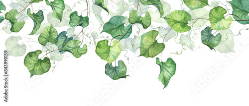 Long seamless banner with ivy liana leaves hanging down. Watercolor hand painted design for greeting cards, stationery, banners, letters, invitations. Floral loopable banner