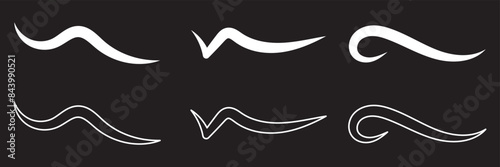 Set of Swoosh and swoop underline typography tails shape in flat styles. Brush drawn curved smear. Hand drawn curly swishes, swash, twiddle. Vectors calligraphy doodle swirl on white background.Vector photo