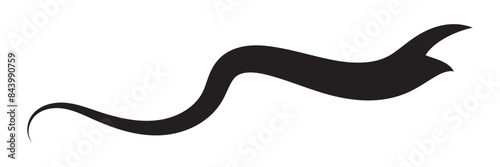 Set of Swoosh and swoop underline typography tails shape in flat styles. Brush drawn curved smear. Hand drawn curly swishes, swash, twiddle. Vectors calligraphy doodle swirl on white background.Vector