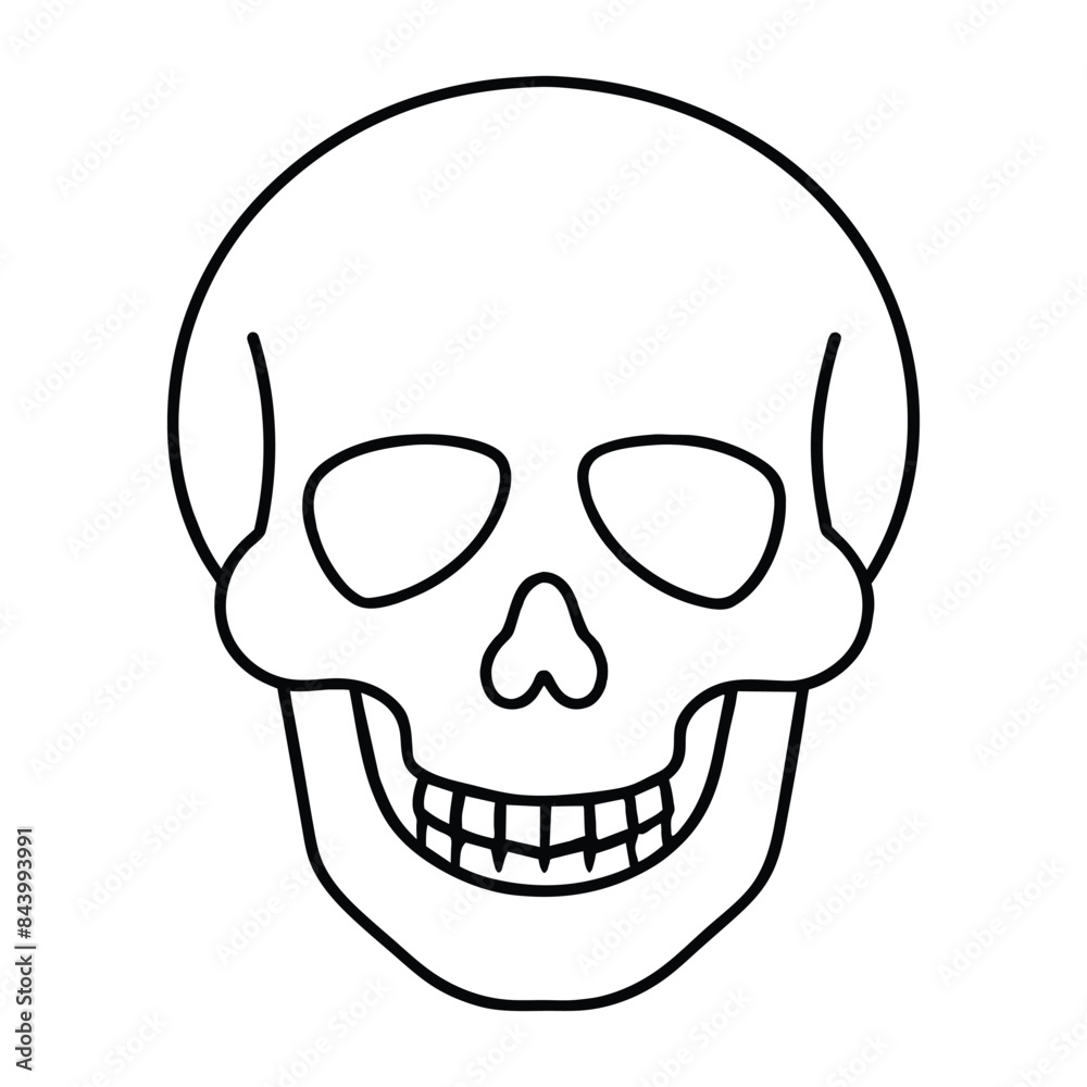Vector Outline of a Human Skull with Minimalistic Design Vector Outline of a Human Skull with Minimalistic Design