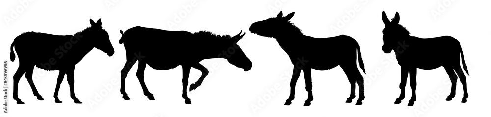 Donkey silhouette Collection Donkey silhouette Collection