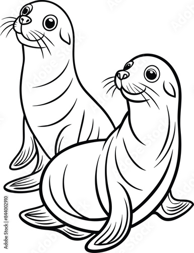 sea lion cartoon