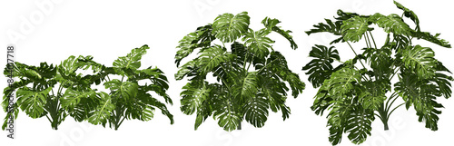window leaf hq arch viz cutout plants