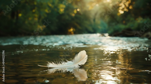 A white feather floating on the surface of a calm river. The water is clear and reflects the sunlight. photo