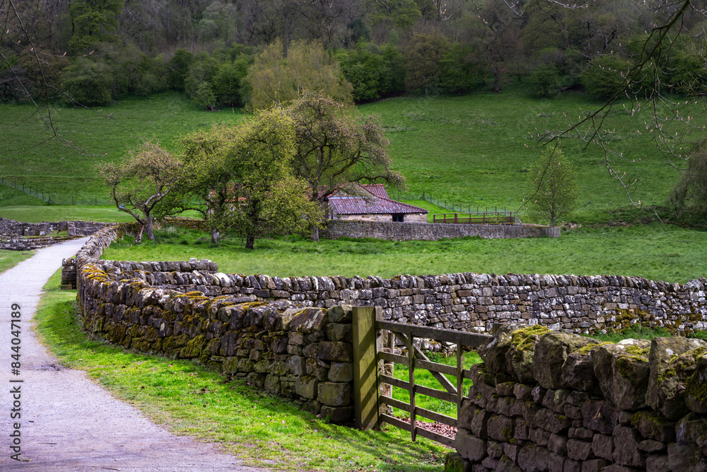 Obraz premium View in the North York Moors National Park in spring. Barn and dry stone wall.