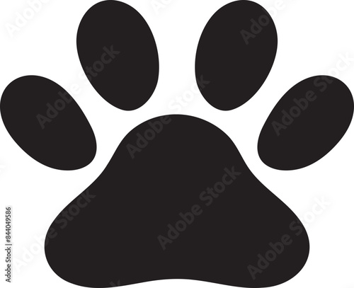 paw