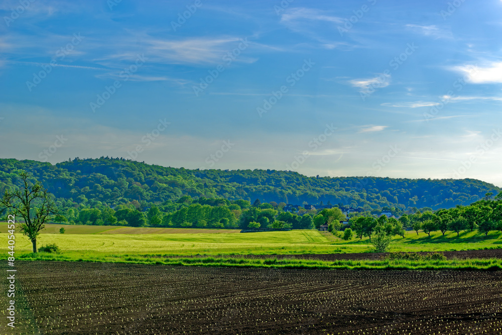 Beautiful summer calm landscapes of Bavaria. Beautiful summer calm landscapes of Bavaria.