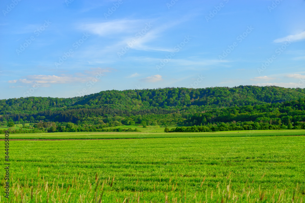 Beautiful summer calm landscapes of Bavaria. Beautiful summer calm landscapes of Bavaria.