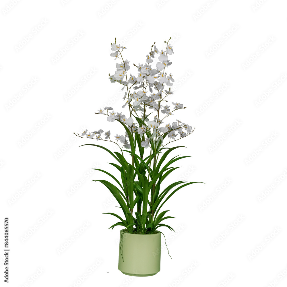 Some flower and jewelry image. Its design image and sticker design Some flower and jewelry image. Its design image and sticker design
