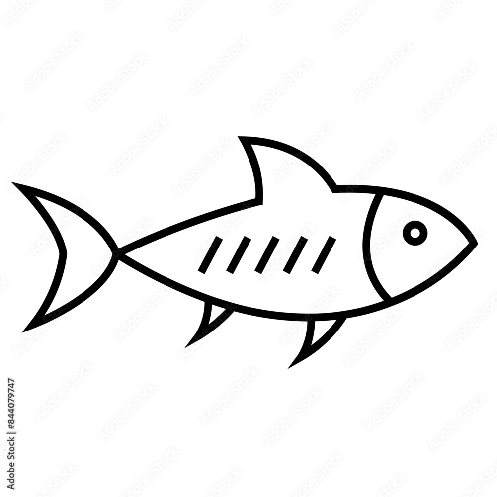 Fototapeta premium Fish