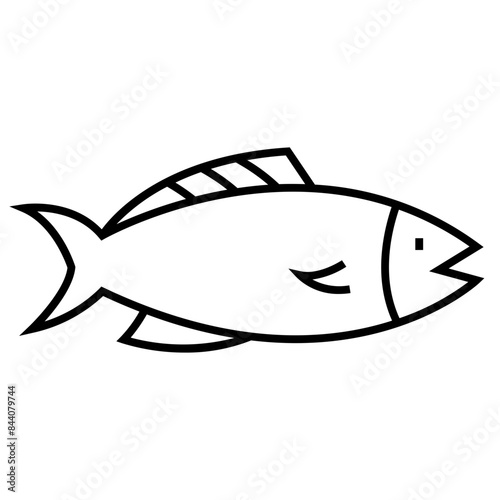Fish