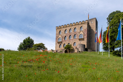 Blick auf das Hambacher Schloss photo