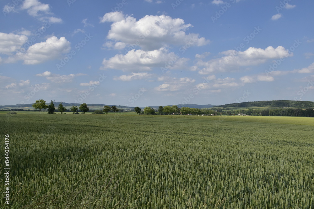 Landschaft zwischen Gronau und Alfeld Landschaft zwischen Gronau und Alfeld