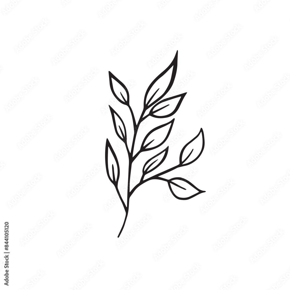 Flower and greenery frame and border Flower and greenery frame and border