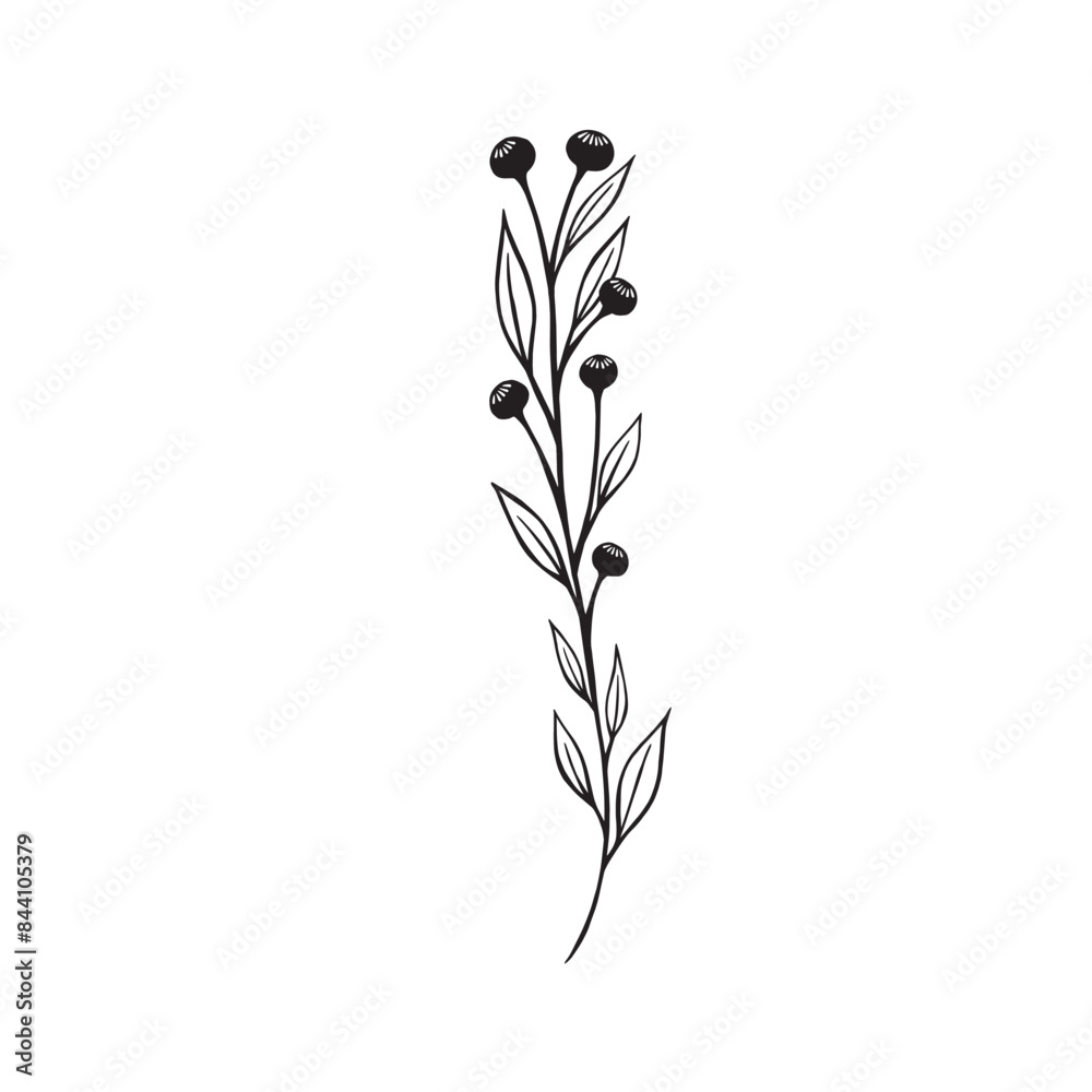 Flower and greenery frame and border Flower and greenery frame and border