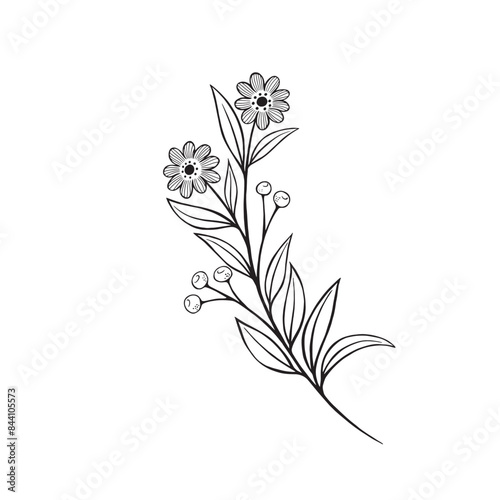 Flower and greenery frame and border