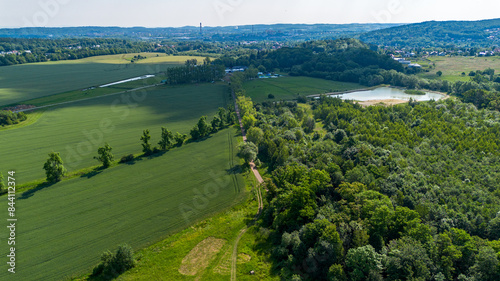 Aerial View of Green Fields and Forest in Summer