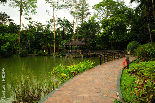 The Botanic Gardens, Singapore photo