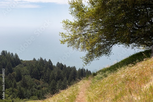 Canvas Print Hiking trail on the ridge of Mt Tamalpais, San Francisco, California, USA