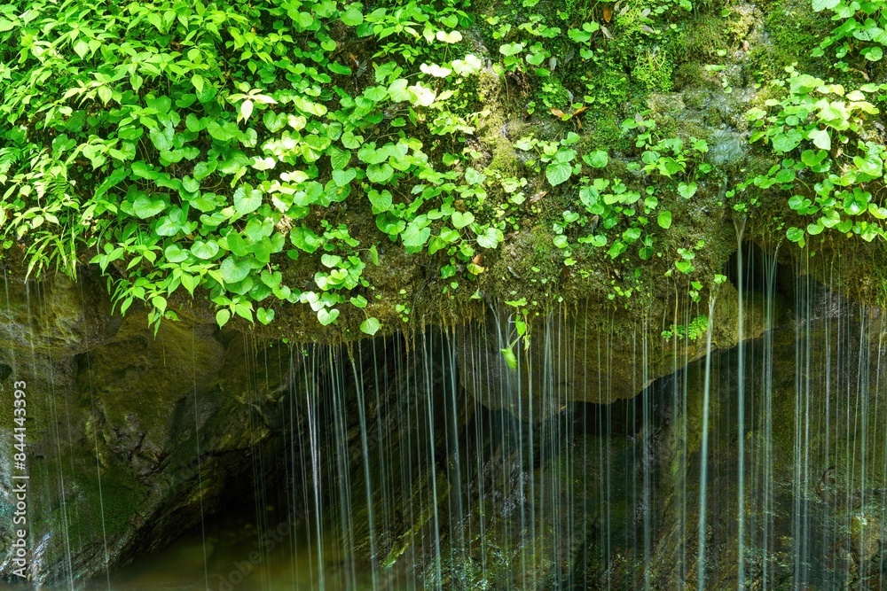 Fototapeta premium 玉垂のように見える繊細な表情の滝の情景