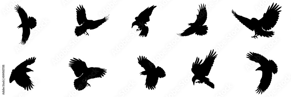 Fototapeta premium silhouette illustration background crow stlye for a halloween day
