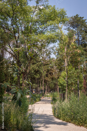 Jardín y Pabellón Escénico en Chapultepec 