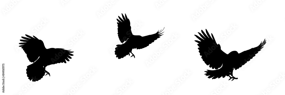 Fototapeta premium silhouette illustration background crow stlye for a halloween day