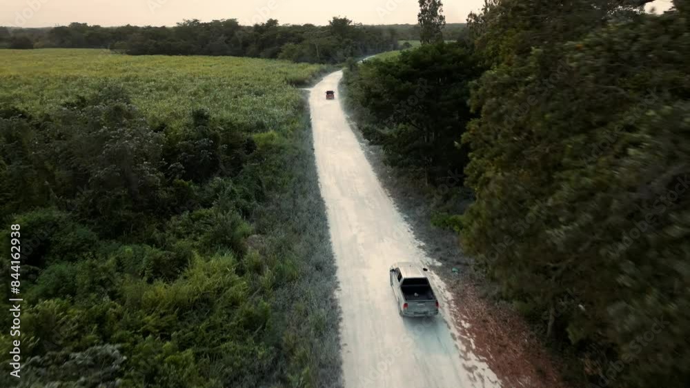 dos vehiculos todo terreno trocas y camionetas siguiendo sobre la terraceria sobre el camino de tierra en Corzal Belice distrito rodando por el camino entre arboles en el bosque 