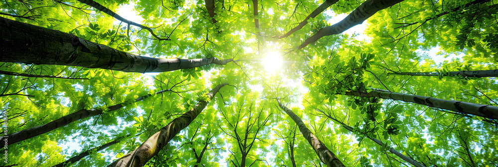 Obraz premium Efficiently Optimized Image of Lush Green Forest Perfect for Web Use with Balanced Sharpness and File Size