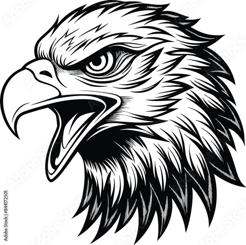 eagle head mascot isolated on white background eps 10