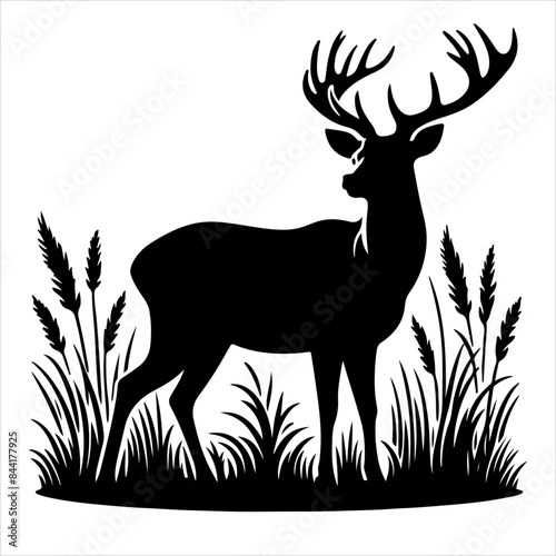 Silhouette of deer - vector illustration. Graphic black silhouettes of wild deers – male, female, and roe deer