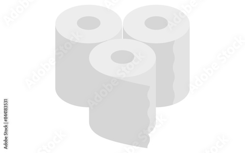 Eemergency kit of toilet paper, simple isometric illustration