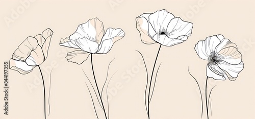 One Line Boho Flowers: Minimalist Floral Art for Contemporary Spaces