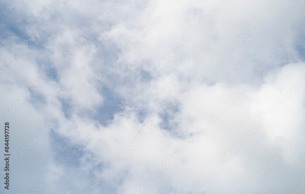 Fototapeta premium Cumulus clouds in the blue sky.