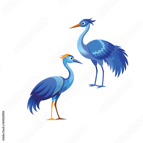 heron,Blue crane vector , white background