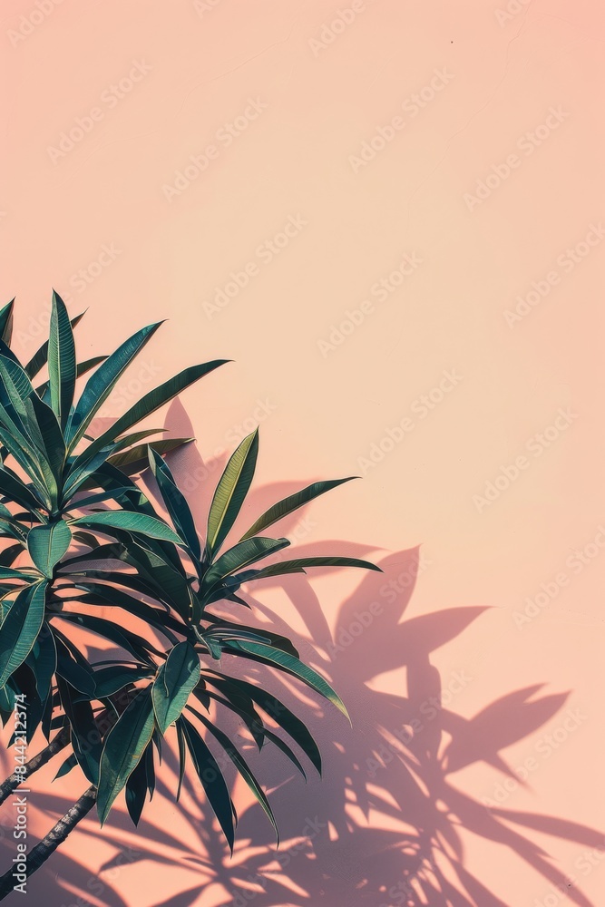 Minimalist background with modern aesthetic. Minimalist background with modern aesthetic.