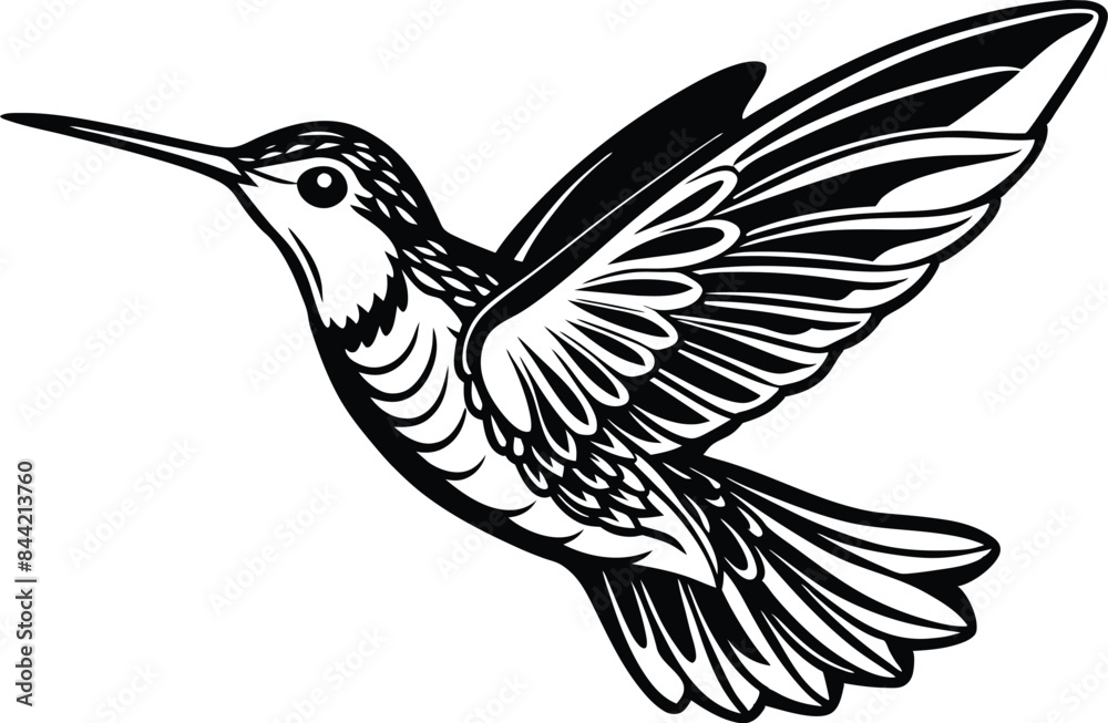 Obraz premium Hummingbirds birds silhouette Illustration vector design on white background.