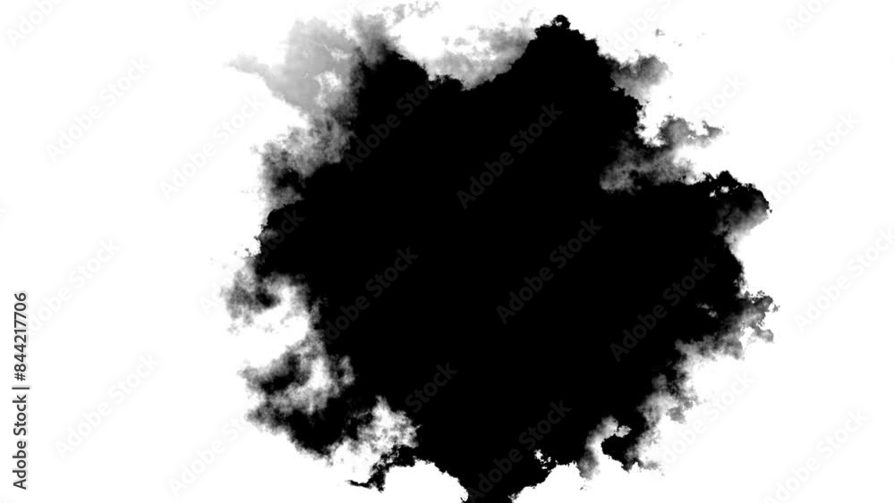 Transitions of black expanding paint stains on white backdrop Grunge Ink spreads and fills the screen. flows and streams. Ink bloom. Beautiful black watercolor ink leak drops transition paint 4K 3D