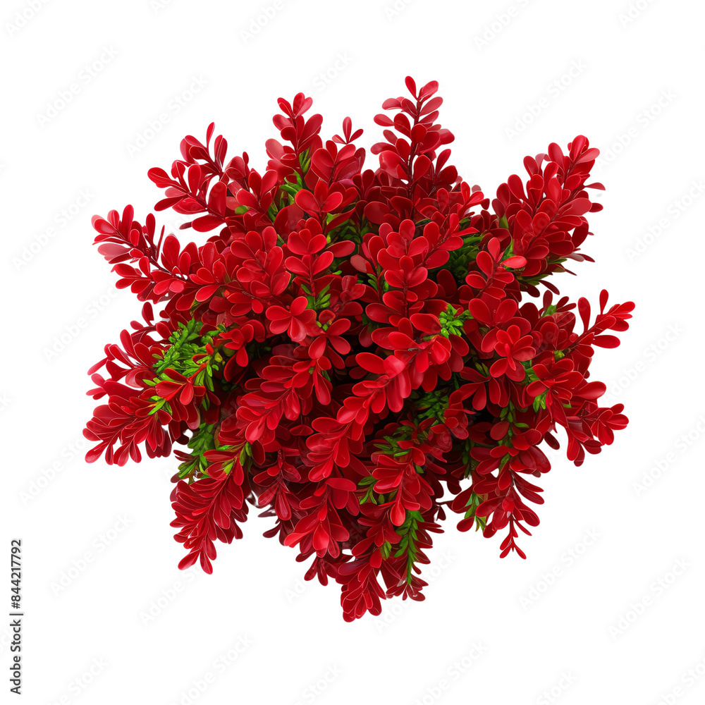 Vibrant red flowers with lush green leaves, perfect for nature, garden, and decoration themes. High-resolution image for versatile use. Vibrant red flowers with lush green leaves, perfect for nature, garden, and decoration themes. High-resolution image for versatile use.