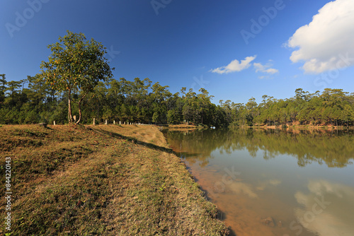 View of Pa-Son Watchan or FIO Watchan (Forest Industry Organization) Galyani Vadhana district. Chiang Mai, Thailand  photo