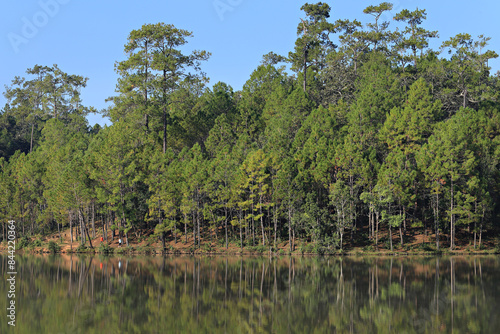 View of Pa-Son Watchan or FIO Watchan (Forest Industry Organization) Galyani Vadhana district. Chiang Mai, Thailand  photo