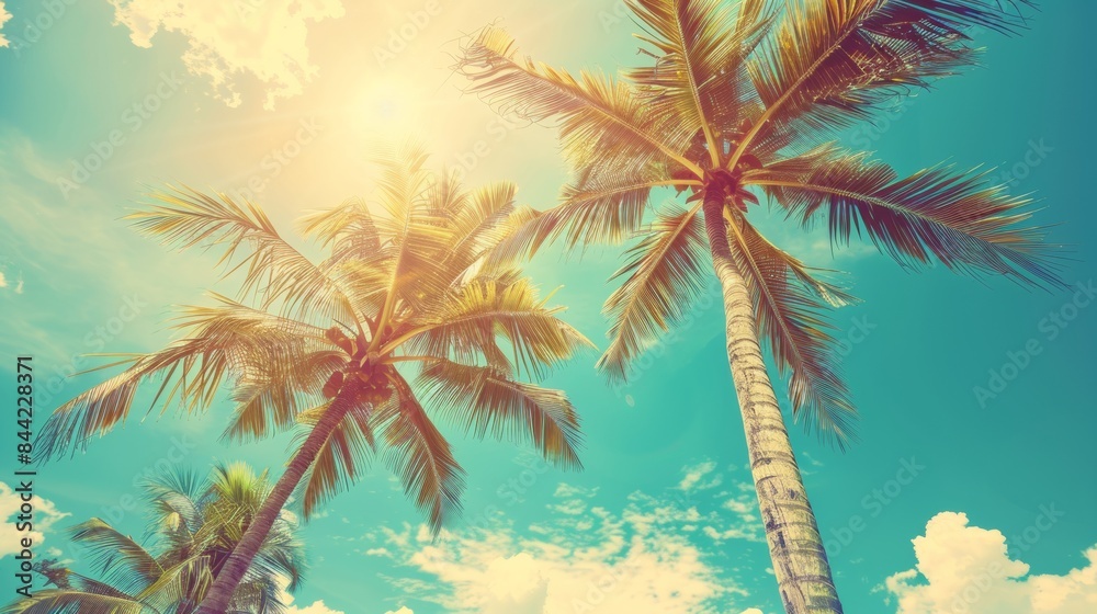 Fototapeta premium vintage tropical palm trees on blue sky background