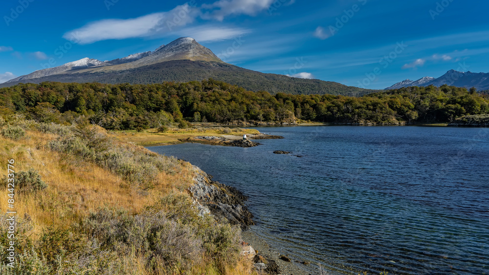 Obraz premium Beautiful autumn landscape of Patagonia. Yellowed grass and green forest grow on the shore of a blue lake. Ripples on the water. A mountain against an azure sky and clouds. Lapataia Bay. Argentina.