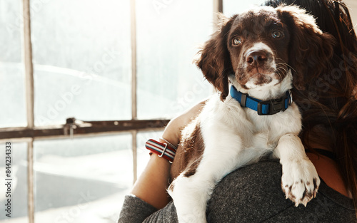Photography Woman, dog and animal with love relax at house from adoption, new home and care in arms of owner support