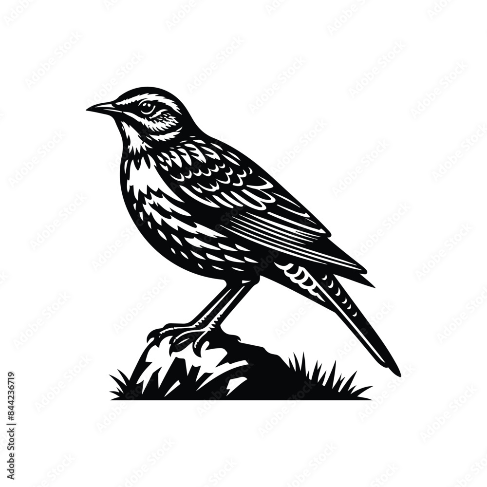 Obraz premium Lark Animal black silhouette vector with white color background